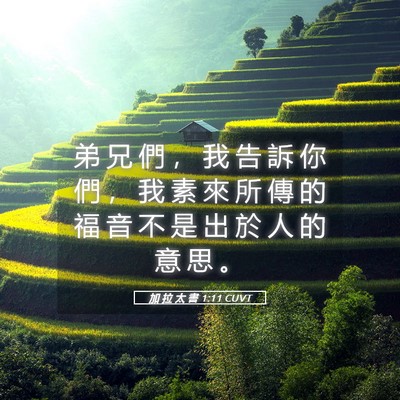 Picture 05 - 加 拉 太 書 1:11 CUVT - 弟 兄 們 ， 我 告 訴 你 們 ， 我 素 - Bible Verse Picture