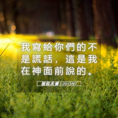 Picture 05 - 加 拉 太 書 1:20 CUVT - 我 寫 給 你 們 的 不 是 謊 話 ， 這 - Bible Verse Picture