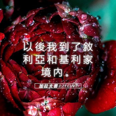 Picture 05 - 加 拉 太 書 1:21 CUVT - 以 後 我 到 了 敘 利 亞 和 基 利 家 - Bible Verse Picture