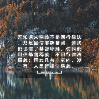 Picture 05 - 加 拉 太 書 2:16 CUVT - 既 知 道 人 稱 義 不 是 因 行 律 法 - Bible Verse Picture