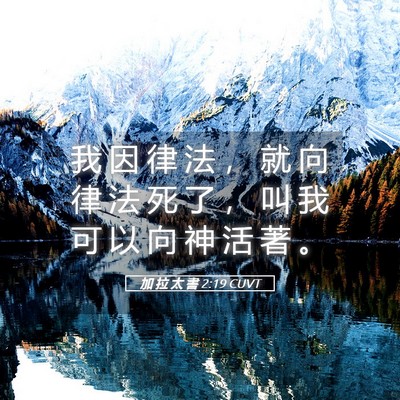 Picture 05 - 加 拉 太 書 2:19 CUVT - 我 因 律 法 ， 就 向 律 法 死 了 ， - Bible Verse Picture