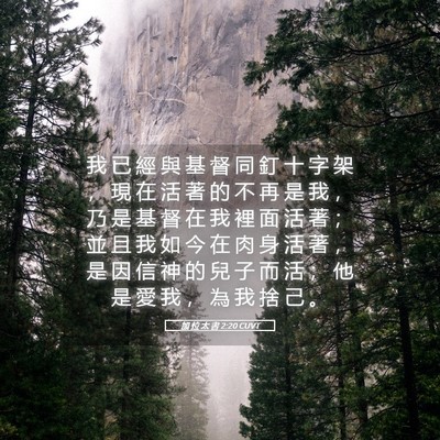 Picture 05 - 加 拉 太 書 2:20 CUVT - 我 已 經 與 基 督 同 釘 十 字 架 ， - Bible Verse Picture
