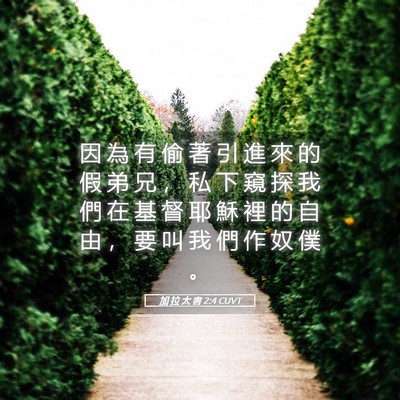 Picture 05 - 加 拉 太 書 2:4 CUVT - 因 為 有 偷 著 引 進 來 的 假 弟 兄 - Bible Verse Picture