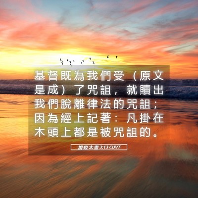 Picture 05 - 加 拉 太 書 3:13 CUVT - 基 督 既 為 我 們 受 （ 原 文 是 成 - Bible Verse Picture