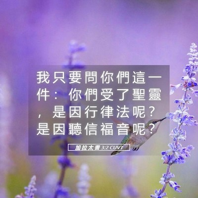 Picture 05 - 加 拉 太 書 3:2 CUVT - 我 只 要 問 你 們 這 一 件 ： 你 們 - Bible Verse Picture