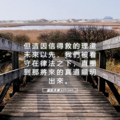 Picture 05 - 加 拉 太 書 3:23 CUVT - 但 這 因 信 得 救 的 理 還 未 來 以 - Bible Verse Picture