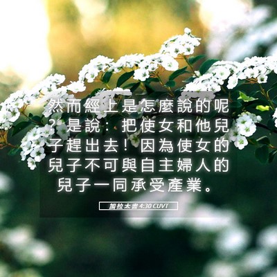 Picture 05 - 加 拉 太 書 4:30 CUVT - 然 而 經 上 是 怎 麼 說 的 呢 ？ 是 - Bible Verse Picture
