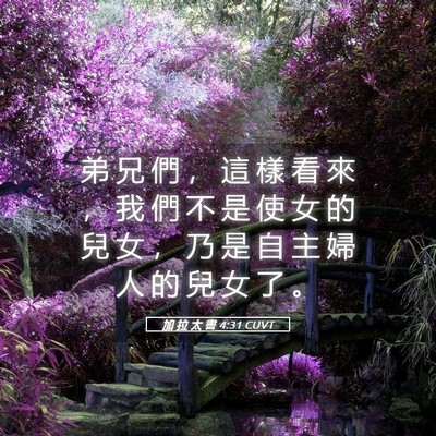 Picture 05 - 加 拉 太 書 4:31 CUVT - 弟 兄 們 ， 這 樣 看 來 ， 我 們 不 - Bible Verse Picture