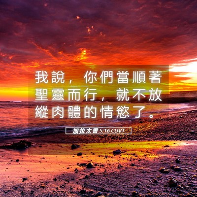 Picture 05 - 加 拉 太 書 5:16 CUVT - 我 說 ， 你 們 當 順 著 聖 靈 而 行 - Bible Verse Picture