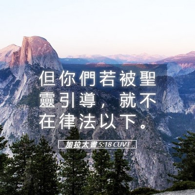 Picture 05 - 加 拉 太 書 5:18 CUVT - 但 你 們 若 被 聖 靈 引 導 ， 就 不 - Bible Verse Picture