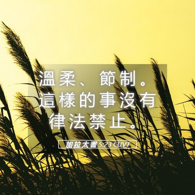 Picture 05 - 加 拉 太 書 5:23 CUVT - 溫 柔 、 節 制 。 這 樣 的 事 沒 有 - Bible Verse Picture