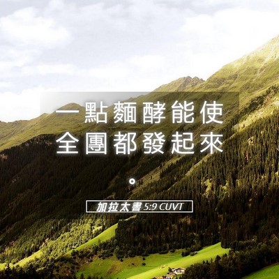 Picture 05 - 加 拉 太 書 5:9 CUVT - 一 點 麵 酵 能 使 全 團 都 發 起 來 - Bible Verse Picture