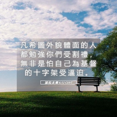 Picture 05 - 加 拉 太 書 6:12 CUVT - 凡 希 圖 外 貌 體 面 的 人 都 勉 強 - Bible Verse Picture