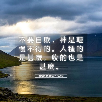 Picture 05 - 加 拉 太 書 6:7 CUVT - 不 要 自 欺 ， 神 是 輕 慢 不 得 的 - Bible Verse Picture