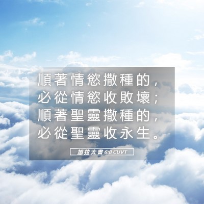 Picture 05 - 加 拉 太 書 6:8 CUVT - 順 著 情 慾 撒 種 的 ， 必 從 情 慾 - Bible Verse Picture