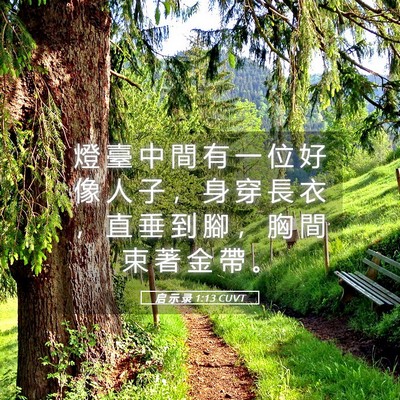 Picture 05 - 启 示 录 1:13 CUVT - 燈 臺 中 間 有 一 位 好 像 人 子 ， - Bible Verse Picture