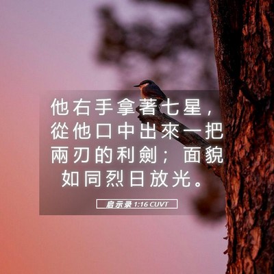 Picture 05 - 启 示 录 1:16 CUVT - 他 右 手 拿 著 七 星 ， 從 他 口 中 - Bible Verse Picture