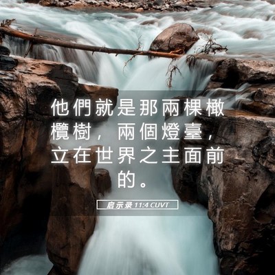 Picture 05 - 启 示 录 11:4 CUVT - 他 們 就 是 那 兩 棵 橄 欖 樹 ， 兩 - Bible Verse Picture