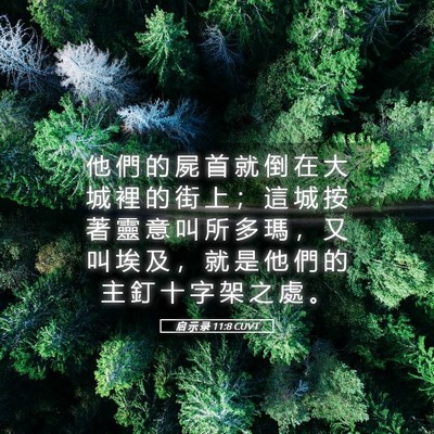 Picture 05 - 启 示 录 11:8 CUVT - 他 們 的 屍 首 就 倒 在 大 城 裡 的 - Bible Verse Picture