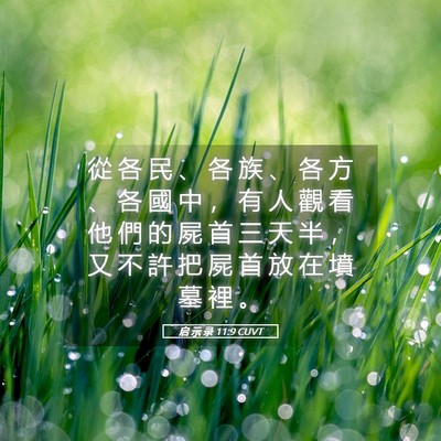 Picture 05 - 启 示 录 11:9 CUVT - 從 各 民 、 各 族 、 各 方 、 各 國 - Bible Verse Picture