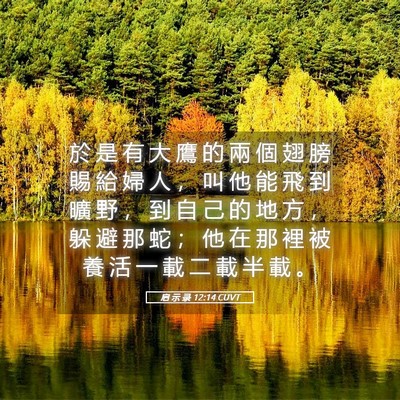 Picture 05 - 启 示 录 12:14 CUVT - 於 是 有 大 鷹 的 兩 個 翅 膀 賜 給 - Bible Verse Picture