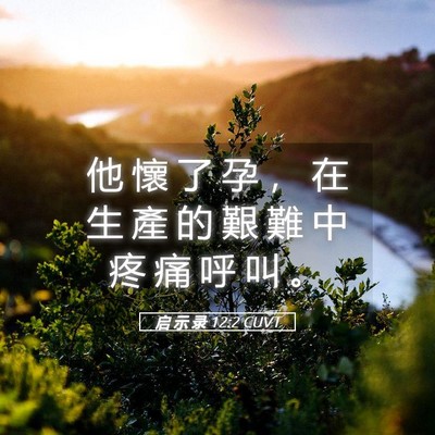 Picture 05 - 启 示 录 12:2 CUVT - 他 懷 了 孕 ， 在 生 產 的 艱 難 中 - Bible Verse Picture