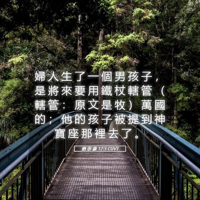 Picture 05 - 启 示 录 12:5 CUVT - 婦 人 生 了 一 個 男 孩 子 ， 是 將 - Bible Verse Picture