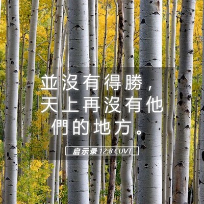 Picture 05 - 启 示 录 12:8 CUVT - 並 沒 有 得 勝 ， 天 上 再 沒 有 他 - Bible Verse Picture