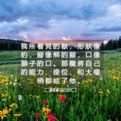 Picture 05 - 启 示 录 13:2 CUVT - 我 所 看 見 的 獸 ， 形 狀 像 豹 ， - Bible Verse Picture