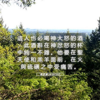 Picture 05 - 启 示 录 14:10 CUVT - 這 人 也 必 喝 神 大 怒 的 酒 ； 此 - Bible Verse Picture