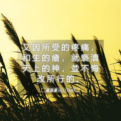 Picture 05 - 启 示 录 16:11 CUVT - 又 因 所 受 的 疼 痛 ， 和 生 的 瘡 - Bible Verse Picture