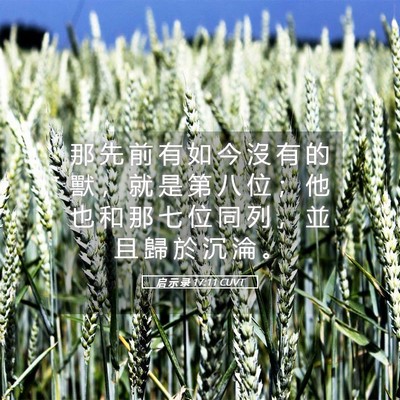 Picture 05 - 启 示 录 17:11 CUVT - 那 先 前 有 如 今 沒 有 的 獸 ， 就 - Bible Verse Picture
