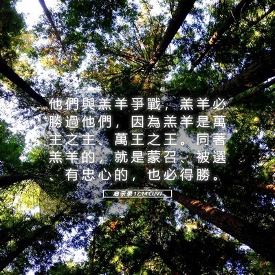 Picture 05 - 启 示 录 17:14 CUVT - 他 們 與 羔 羊 爭 戰 ， 羔 羊 必 勝 - Bible Verse Picture