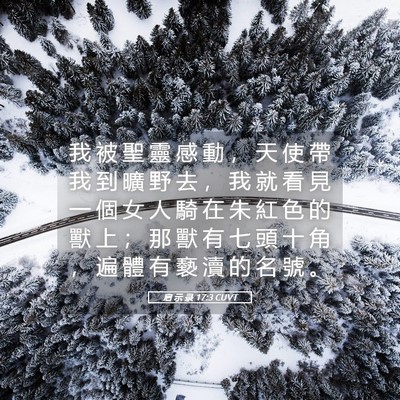 Picture 05 - 启 示 录 17:3 CUVT - 我 被 聖 靈 感 動 ， 天 使 帶 我 到 - Bible Verse Picture