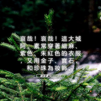 Picture 05 - 启 示 录 18:16 CUVT - 哀 哉 ！ 哀 哉 ！ 這 大 城 阿 ， 素 - Bible Verse Picture