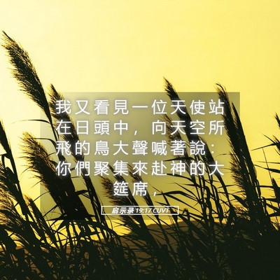 Picture 05 - 启 示 录 19:17 CUVT - 我 又 看 見 一 位 天 使 站 在 日 頭 - Bible Verse Picture