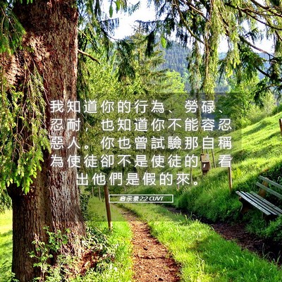 Picture 05 - 启 示 录 2:2 CUVT - 我 知 道 你 的 行 為 、 勞 碌 、 忍 - Bible Verse Picture