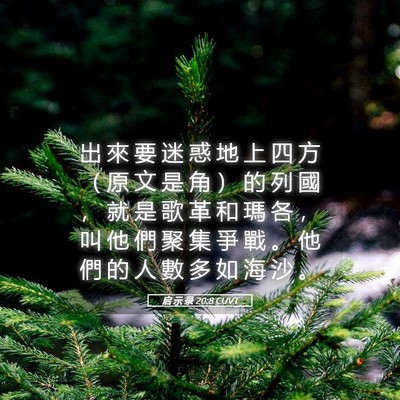Picture 05 - 启 示 录 20:8 CUVT - 出 來 要 迷 惑 地 上 四 方 （ 原 文 - Bible Verse Picture