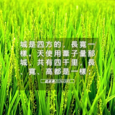 Picture 05 - 启 示 录 21:16 CUVT - 城 是 四 方 的 ， 長 寬 一 樣 。 天 - Bible Verse Picture
