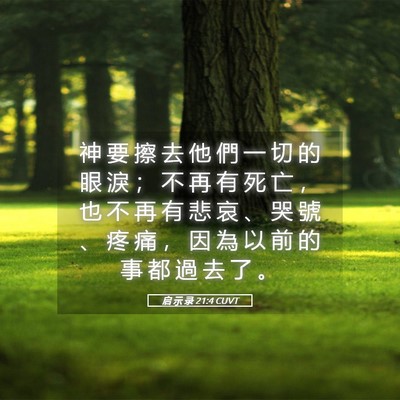 Picture 05 - 启 示 录 21:4 CUVT - 神 要 擦 去 他 們 一 切 的 眼 淚 ； - Bible Verse Picture
