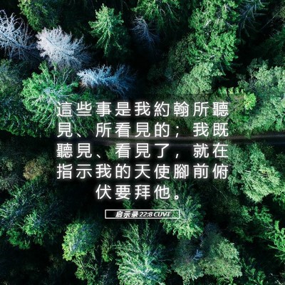 Picture 05 - 启 示 录 22:8 CUVT - 這 些 事 是 我 約 翰 所 聽 見 、 所 - Bible Verse Picture