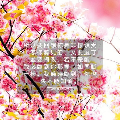Picture 05 - 启 示 录 3:3 CUVT - 所 以 要 回 想 你 是 怎 樣 領 受 、 - Bible Verse Picture