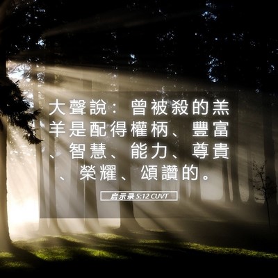 Picture 05 - 启 示 录 5:12 CUVT - 大 聲 說 ： 曾 被 殺 的 羔 羊 是 配 - Bible Verse Picture