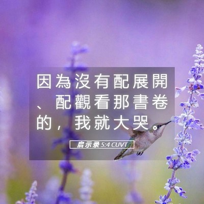 Picture 05 - 启 示 录 5:4 CUVT - 因 為 沒 有 配 展 開 、 配 觀 看 那 - Bible Verse Picture