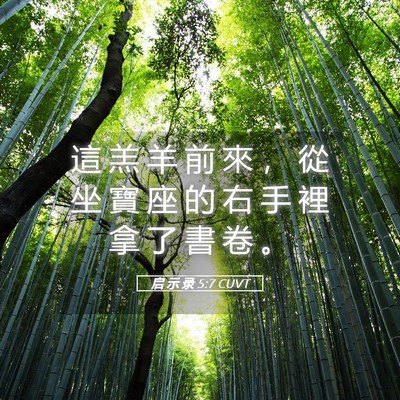 Picture 05 - 启 示 录 5:7 CUVT - 這 羔 羊 前 來 ， 從 坐 寶 座 的 右 - Bible Verse Picture