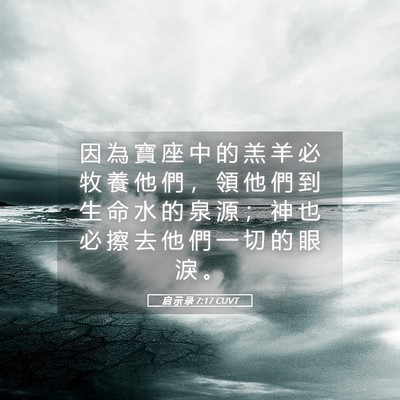 Picture 05 - 启 示 录 7:17 CUVT - 因 為 寶 座 中 的 羔 羊 必 牧 養 他 - Bible Verse Picture