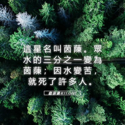 Picture 05 - 启 示 录 8:11 CUVT - 這 星 名 叫 茵 蔯 。 眾 水 的 三 分 - Bible Verse Picture