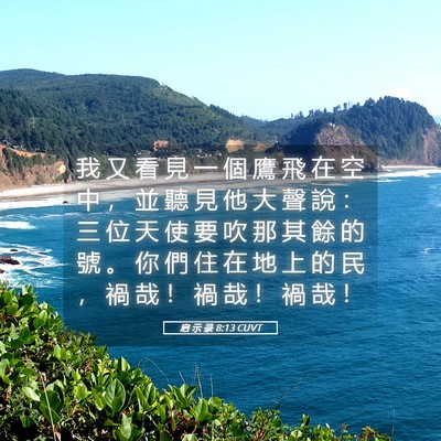 Picture 05 - 启 示 录 8:13 CUVT - 我 又 看 見 一 個 鷹 飛 在 空 中 ， - Bible Verse Picture