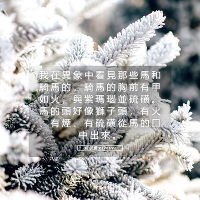 Picture 05 - 启 示 录 9:17 CUVT - 我 在 異 象 中 看 見 那 些 馬 和 騎 - Bible Verse Picture