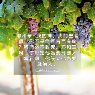 Picture 05 - 哈 巴 谷 書 1:12 CUVT - 耶 和 華 ─ 我 的 神 ， 我 的 聖 者 - Bible Verse Picture